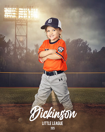 TB_TIGERS_Thorne_Anthony_DLL11621_FIELD LIGHTS_
