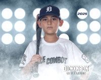 MINORS_SPACECOWBOYS_Robles_Elijah_DLL20787_LIT