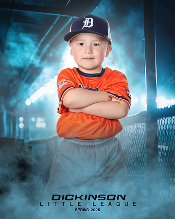 TB_TIGERS_villanueva_Giovanni_DLL11534_DUGOUT_