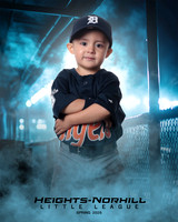 TB_TIGERS_Villanueva_Jax_HN022166_DUGOUT