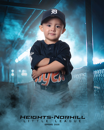 TB_TIGERS_Villanueva_Jax_HN022166_DUGOUT