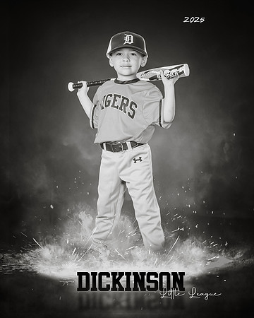 TB_TIGERS_Polk_Maddox_DLL11520_ROF-BW