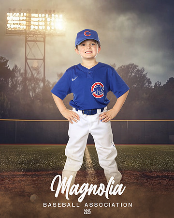 6U_Cubs_McCullen_Gentry_MAG11531_FIELD LIGHTS_