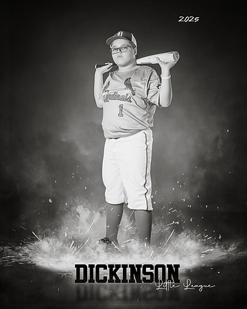 MJR_CARDINALS_Torres_Brody_DLL13159_ROF-BW
