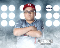 MJR_CARDINALS_Torres_Brody_DLL13155_LIT