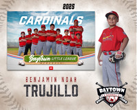 M1_Cardinals_Trujillo_Benjamin Noah_BAY14317_MM
