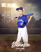 TB_BLUEJAYS_Lara_Santiago_DLL11671_FIELD LIGHTS_