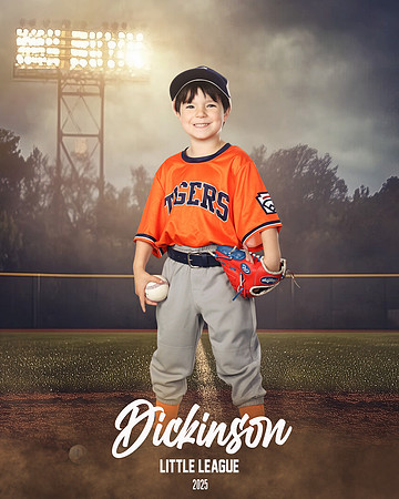 TB_TIGERS_Smith_William_DLL11547_FIELD LIGHTS_