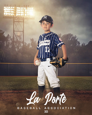 8U_Pinto_Yankees_Sanchez_Michael_LP023746_FIELDLIGHTS