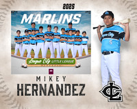 MJR.Dickson.Marlins_Hernandez_Michael_SF_27433_MM