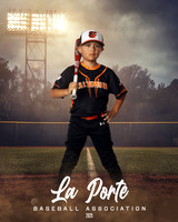 6U_Shetland_Orioles_Dardon_Carlos_LP011325_FIELDLIGHTS