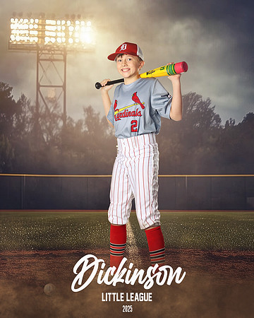 MJR_CARDINALS_Forte_Graham_DLL13138_FIELD LIGHTS_