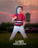 4U_Foal_Cardinals_Totten_William_LP022581_TRUCK