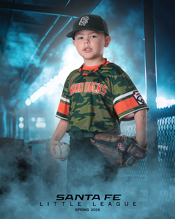 CP5_WOODDUCKS_Theobald_Bowen_IMGL8396_DUGOUT