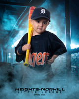 TB_TIGERS_Villanueva_Jax_HN022169_DUGOUT