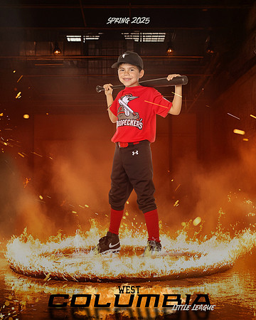 JR MINOR WOODPECKERS_Solis_Slayton_WC010975_ROF_