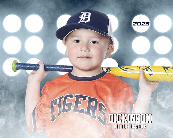 TB_TIGERS_villanueva_Giovanni_DLL11538_LIT