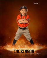 TB_TIGERS_Shafer_Harper_DLL12290_ROF