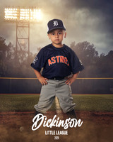 TB_ASTROS_Alvarez_Glenda_DLL29661_FIELD LIGHTS_