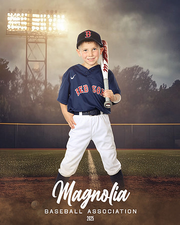 6U_Red Sox_Honsinger_Chip_MAG10924_FIELD LIGHTS_