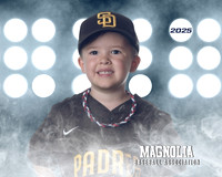 4_5u_padres_Miller_Grey_MAG25515_LIT