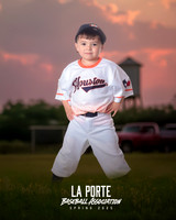 4U_Foal_Astros_Bennett_Colton_LP022693_TRUCK