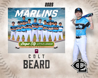 MJR.Dickson.Marlins_Beard_Colt_SF_27423_MM
