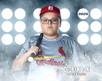 MJR_CARDINALS_Torres_Brody_DLL13157_LIT
