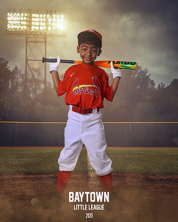 M3_CARDINALS_Hamilton_William_BAY28064_FIELDLIGHTS