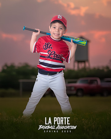 4U_Foal_Cardinals_Totten_William_LP022584_TRUCK