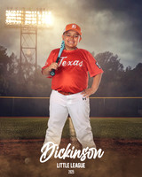 CP8_LONGHORNS_Dowdy_Chris_DLL20194_FIELD LIGHTS_