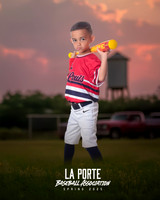 4U_Foal_Cardinals_Sosa_Luca_LP022605_TRUCK