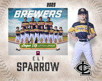 A.Sparrow.Brewers_Sparrow_Eli_IMG_0426_MM_MM