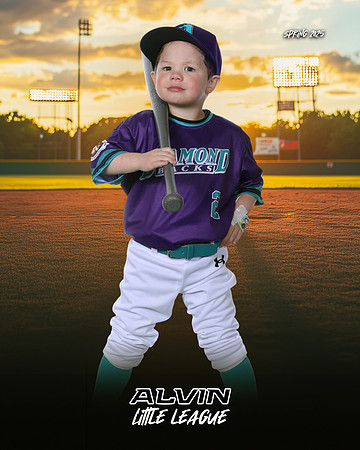JR_TB_DIAMONDBACKS_Coyle_William_CAM14069_SUNSHINE