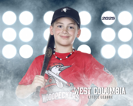 JR MINOR WOODPECKERS_Thomas_Hudson_WC010981_LIT_