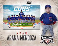 M3_ Cubs_Arana Mendoza_NOAH_BAY12258_MM
