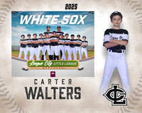 AAA.Bales.WhiteSox_Walters_Carter_143A1138_MM_MM