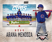 M3_ Cubs_Arana Mendoza_NOAH_BAY12261_MM
