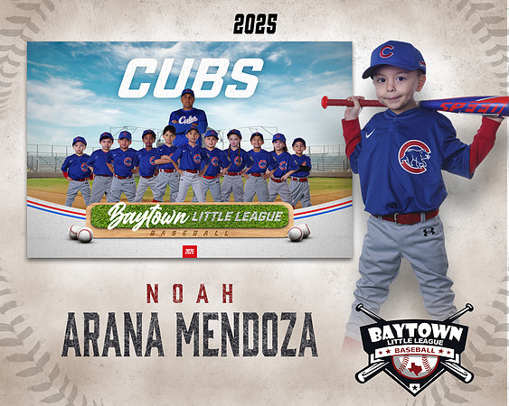 M3_ Cubs_Arana Mendoza_NOAH_BAY12261_MM