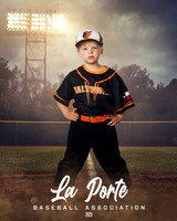 4U_Foal_Orioles_Jarvis_Ryder_LP010394_FIELDLIGHTS