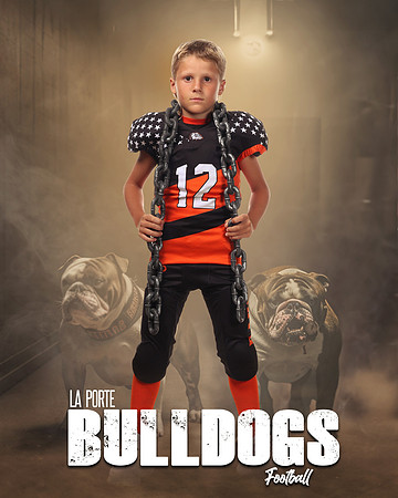 LCL14699_BEWAREOFDOG_