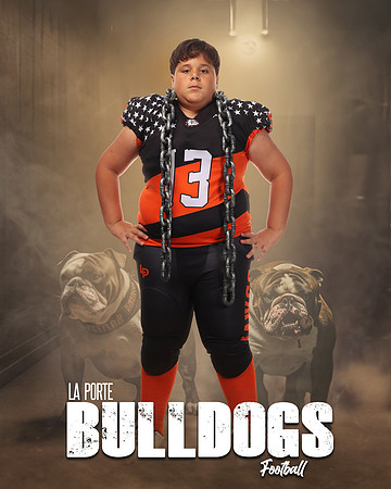 LCL24078_BEWAREOFDOG_