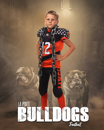 LCL14695_BEWAREOFDOG_