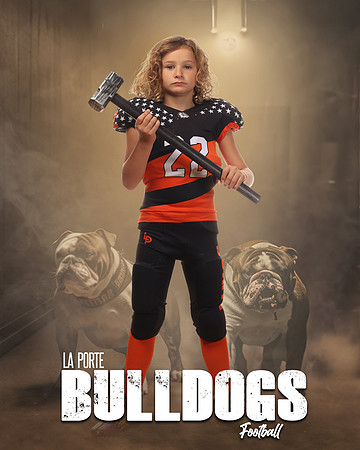 LCL24026_BEWAREOFDOG_