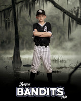 BAYOU BANDITS 9U