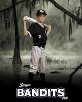 BANDITS_WC_27470_BAYOU_