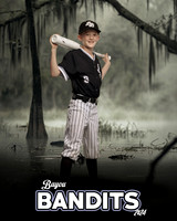 BANDITS_WC_27471_BAYOU_