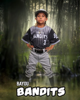 _BAYOU_