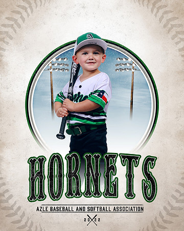 BB_04UFoal_Mobley_Mobley_Brody_CA1_8850_pastime_