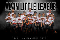 12U ALL STAR TEAM PHOTO